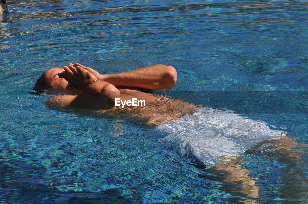 Cat swimming in pool