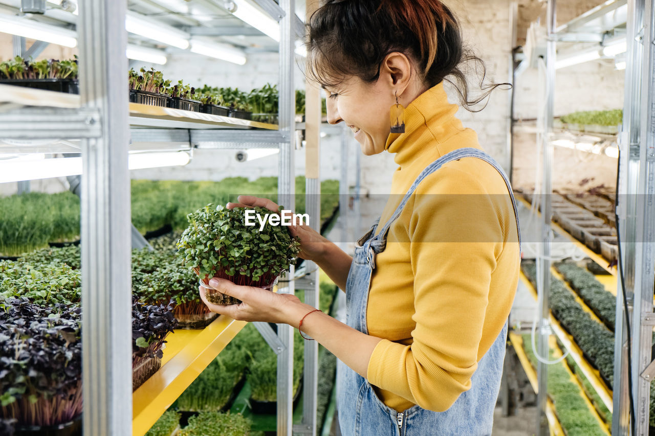 Young female farmer growing microgreens on her indoor vertical garden. happy woman looking after