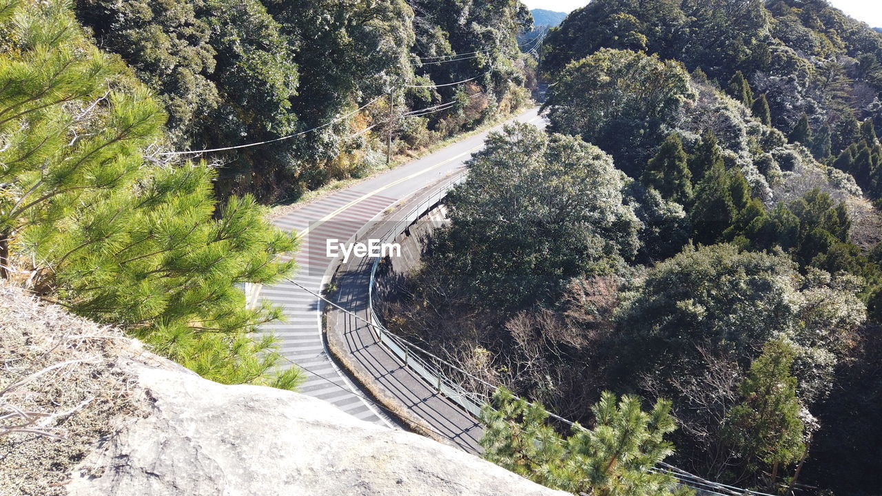 HIGH ANGLE VIEW OF ROAD AMIDST PLANTS AND TREES