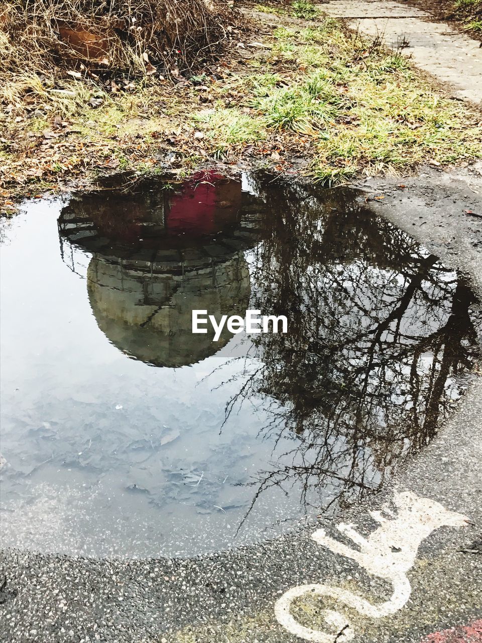 REFLECTION OF TREES IN PUDDLE AGAINST SKY