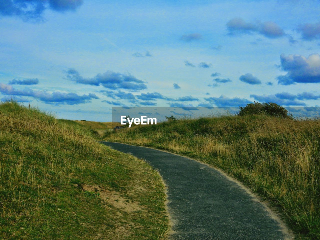 ROAD PASSING THROUGH LANDSCAPE