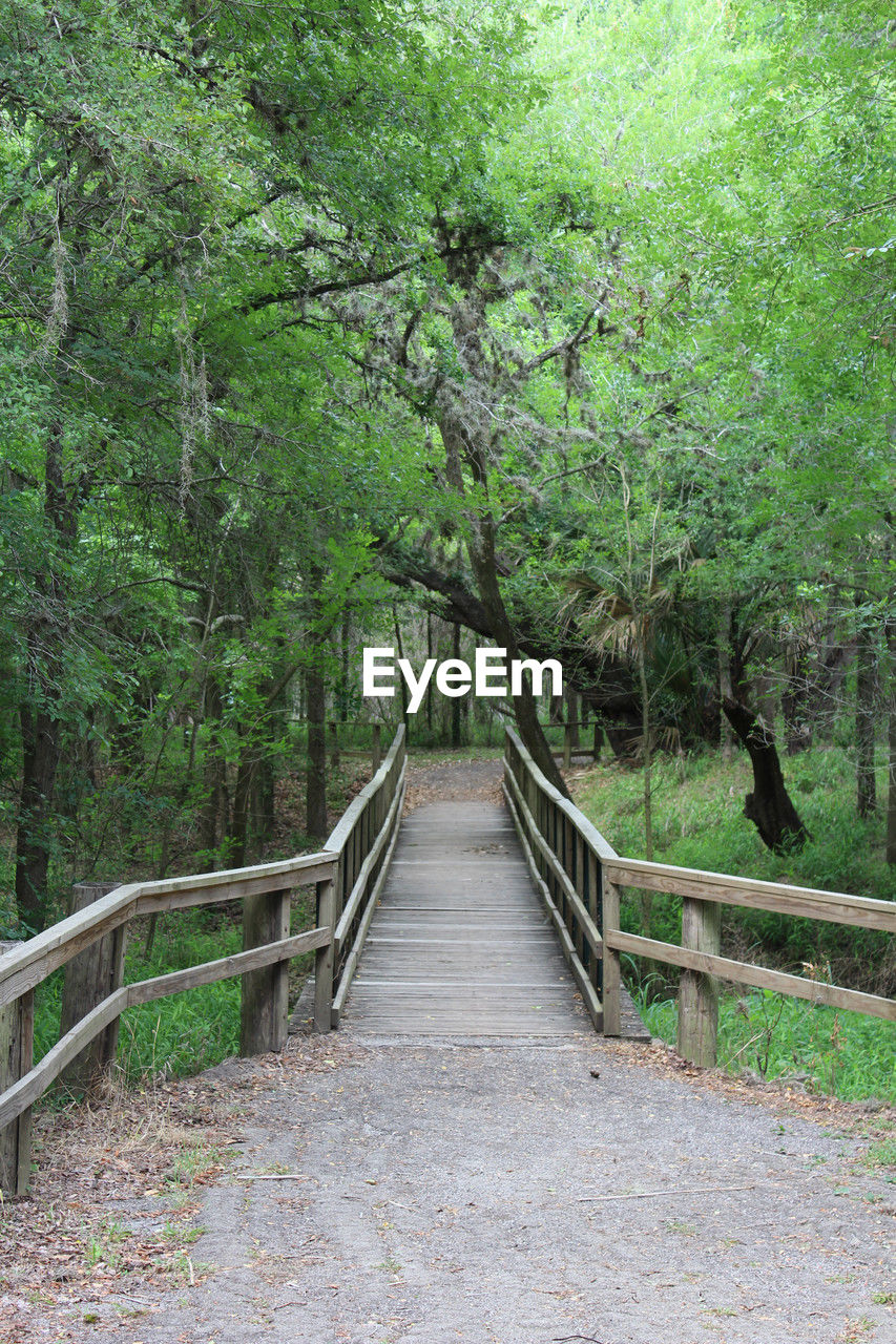 tree, plant, the way forward, forest, green, railing, land, growth, nature, tranquility, bridge, footpath, beauty in nature, footbridge, no people, tranquil scene, day, non-urban scene, woodland, foliage, lush foliage, walkway, scenics - nature, outdoors, trail, architecture, diminishing perspective, empty, wood, built structure, idyllic, transportation, landscape, environment