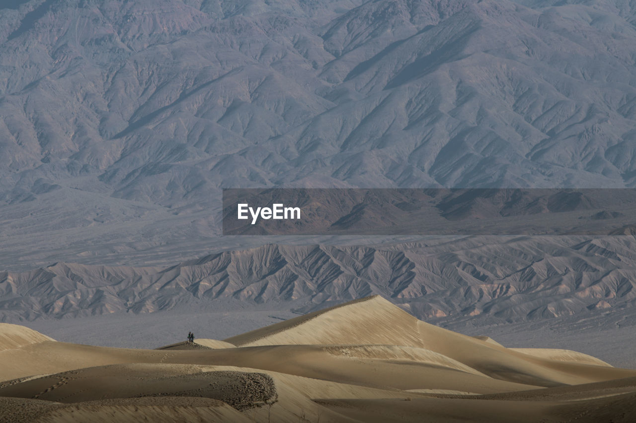 Mesquite sand dunes in california