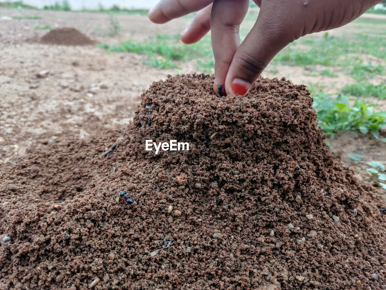 Midsection of person holding hands on ants nest or hole