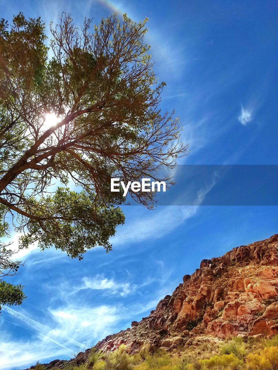 LOW ANGLE VIEW OF TREE MOUNTAIN AGAINST SKY