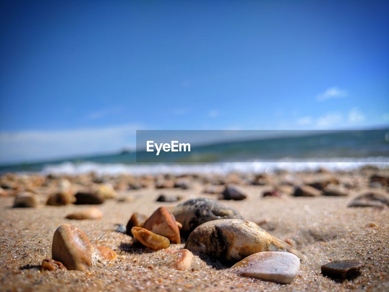 CLOSE-UP OF SHELLS ON BEACH