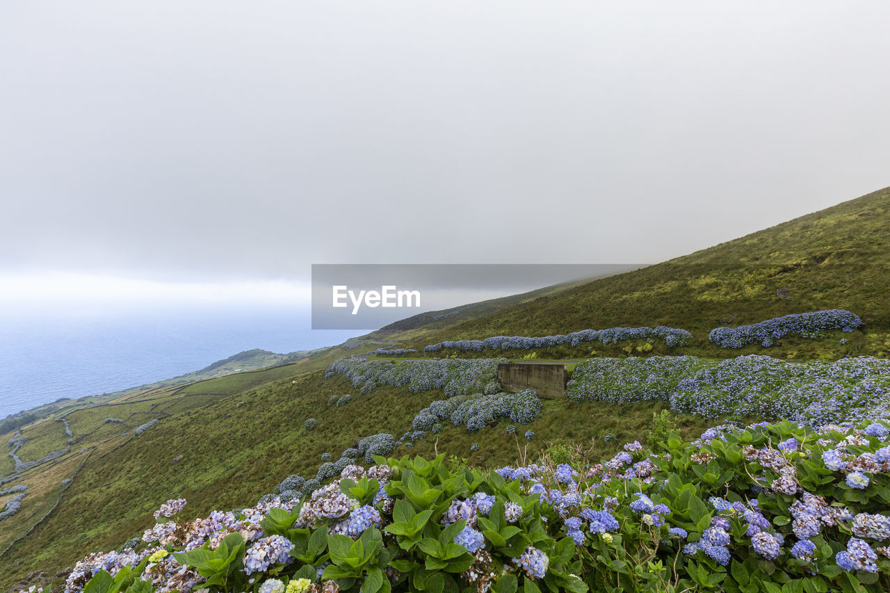SCENIC VIEW OF SEA BY MOUNTAIN AGAINST SKY