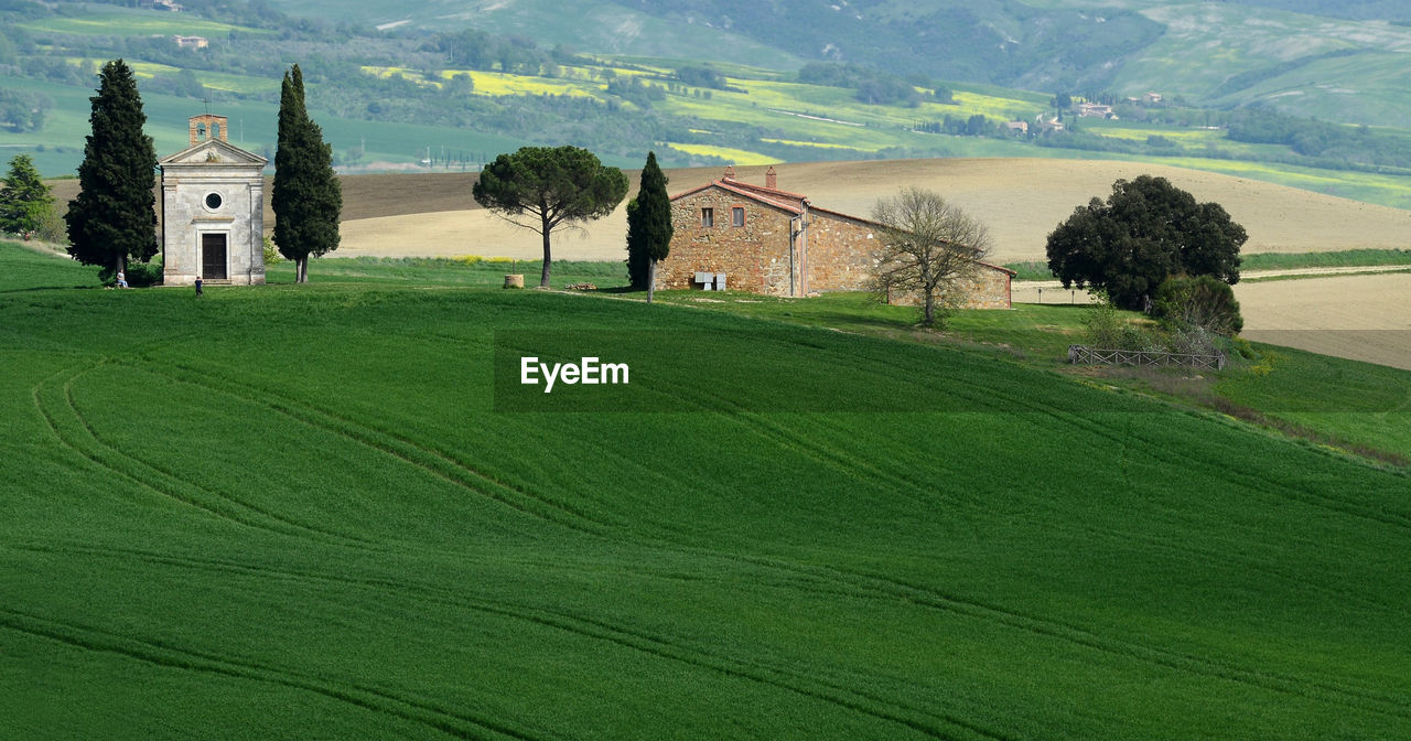 Scenic view of farm against clear sky