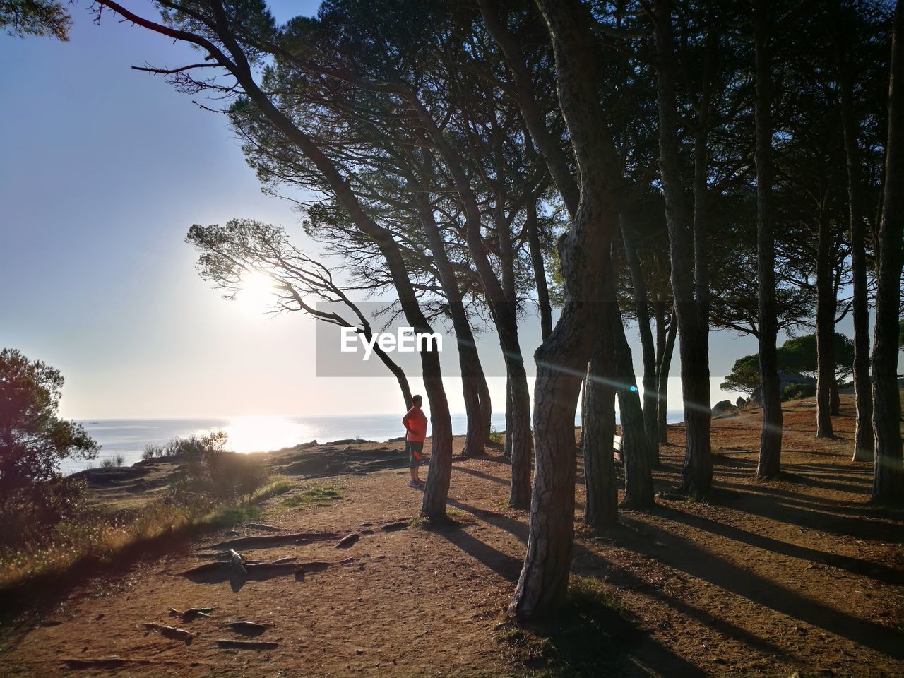 SCENIC VIEW OF BEACH