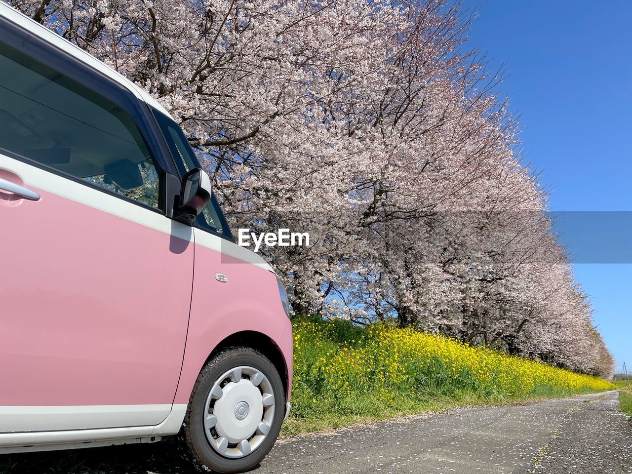 VIEW OF CAR ON ROAD