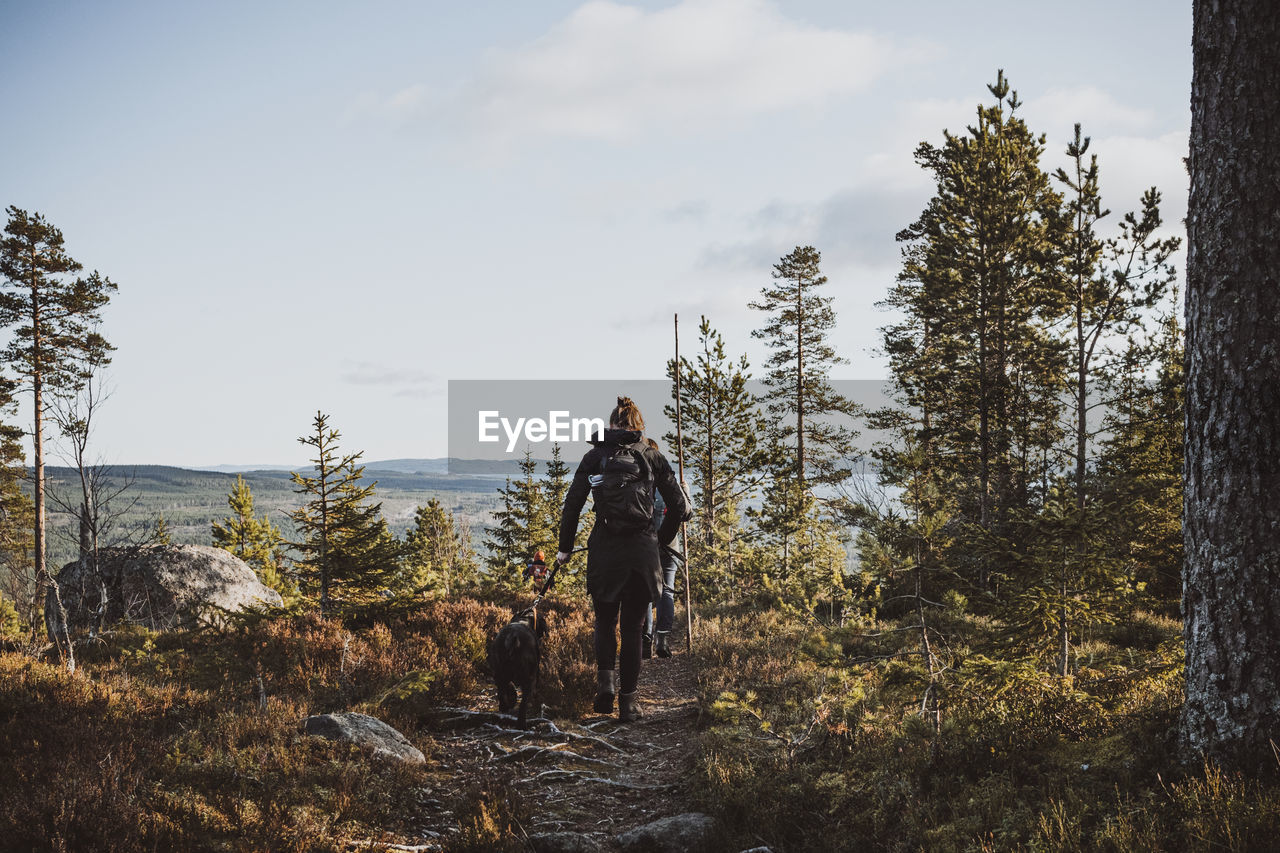 Rear view of hiker