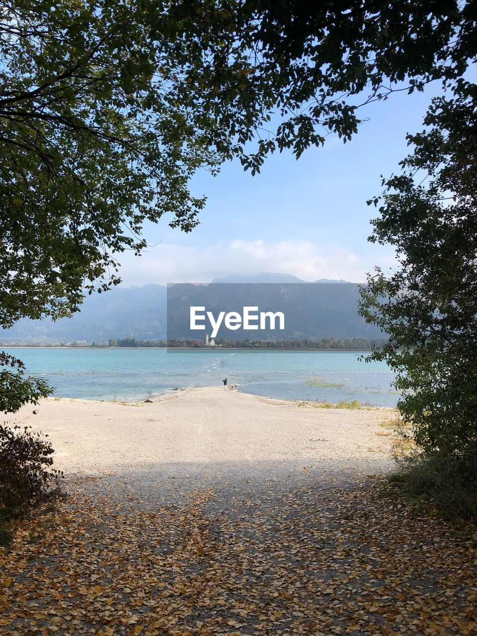 SCENIC VIEW OF SEA BY TREES AGAINST SKY