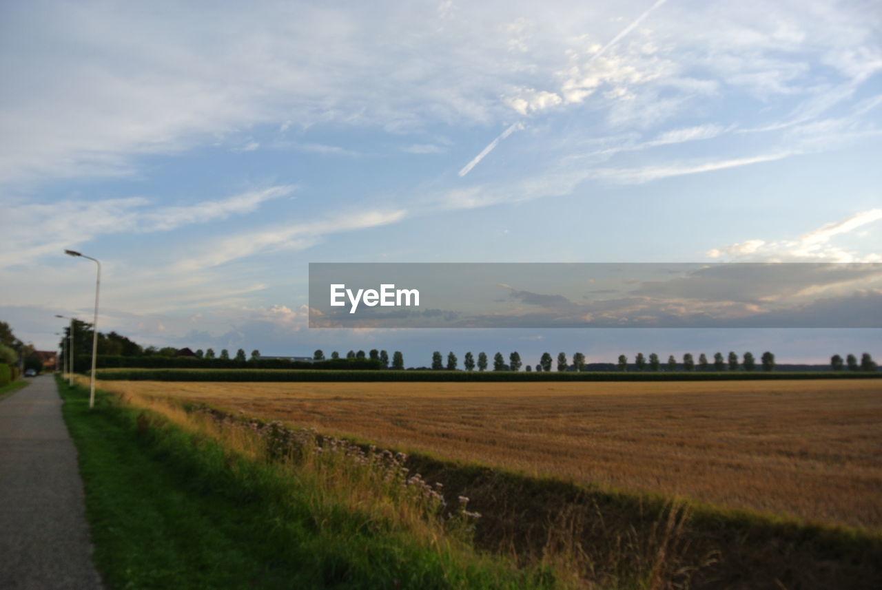 AGRICULTURAL FIELD AGAINST SKY