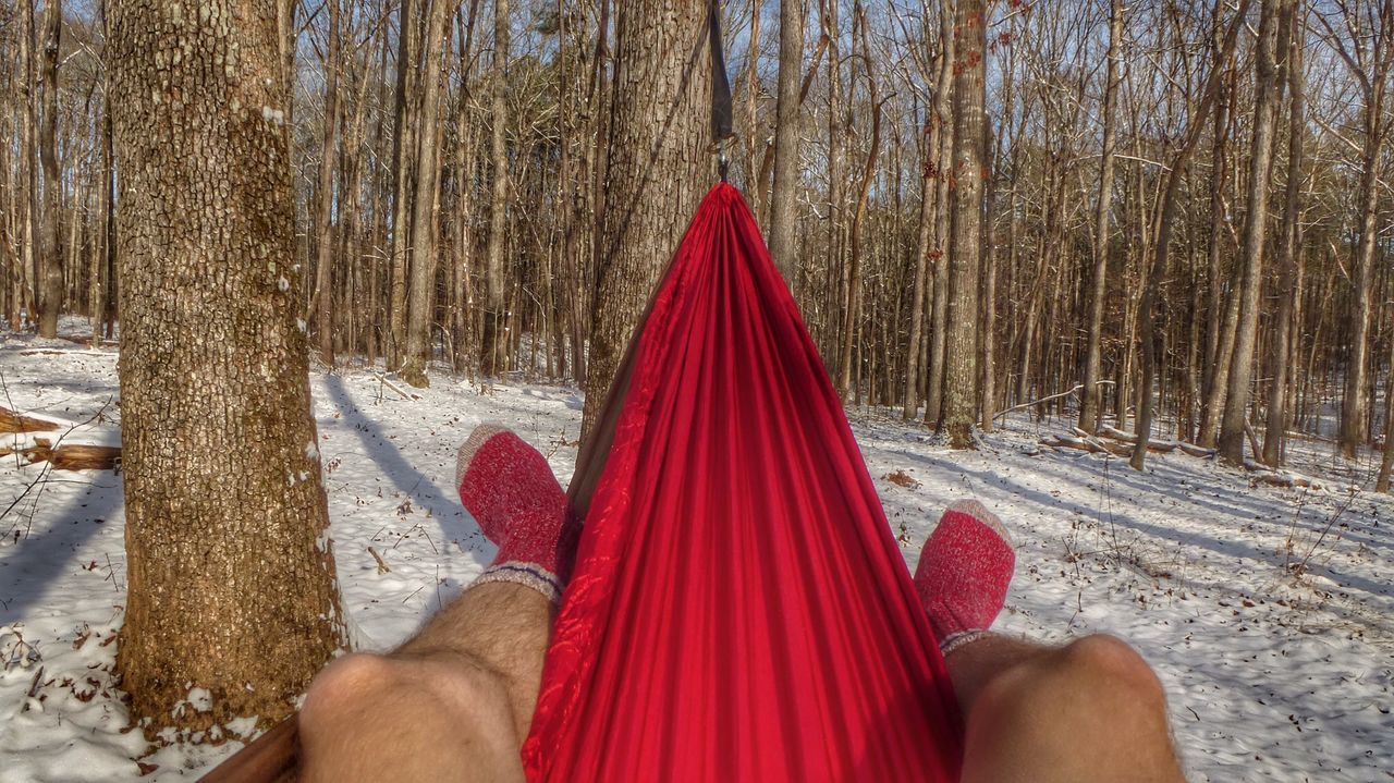 Low section of person relaxing in hammock against tree trunks