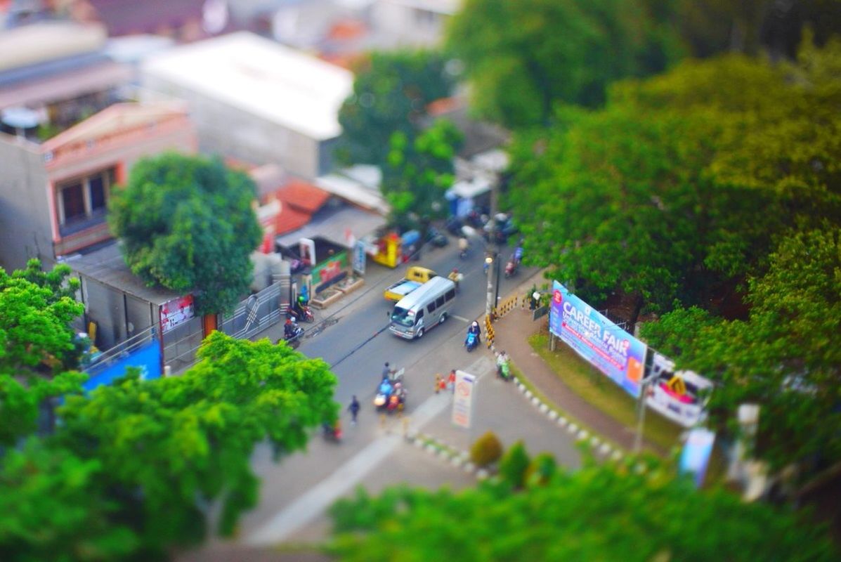 VIEW OF TREES IN THE CITY