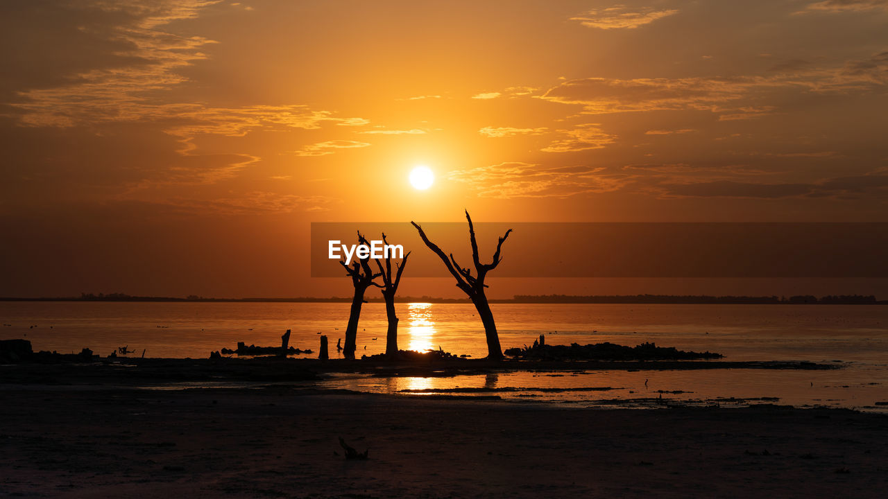 SILHOUETTE TREE ON SHORE AGAINST SUNSET SKY