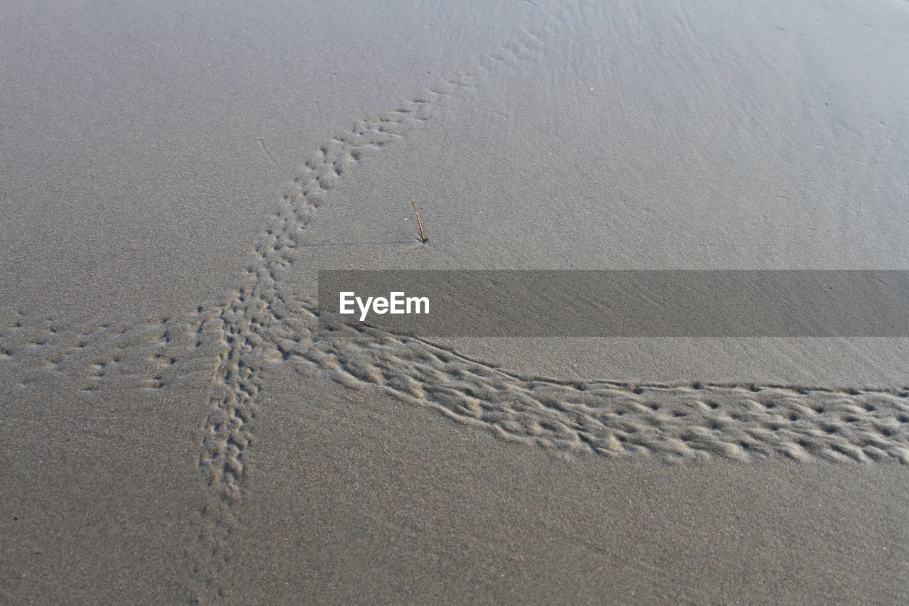 High angle view of footprints on sand at beach