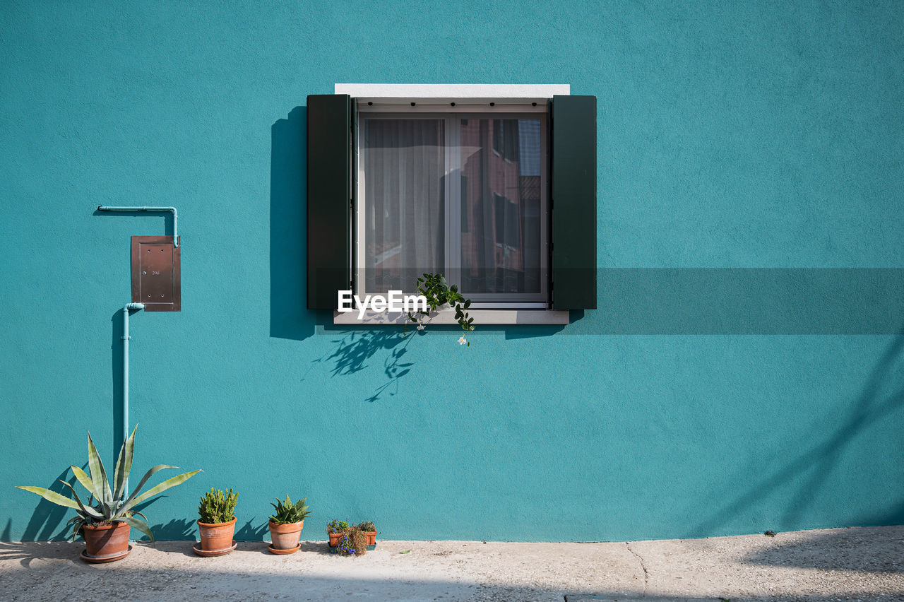 POTTED PLANT ON WALL BY SWIMMING POOL