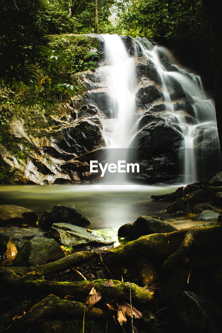 SCENIC VIEW OF WATERFALL AGAINST TREES