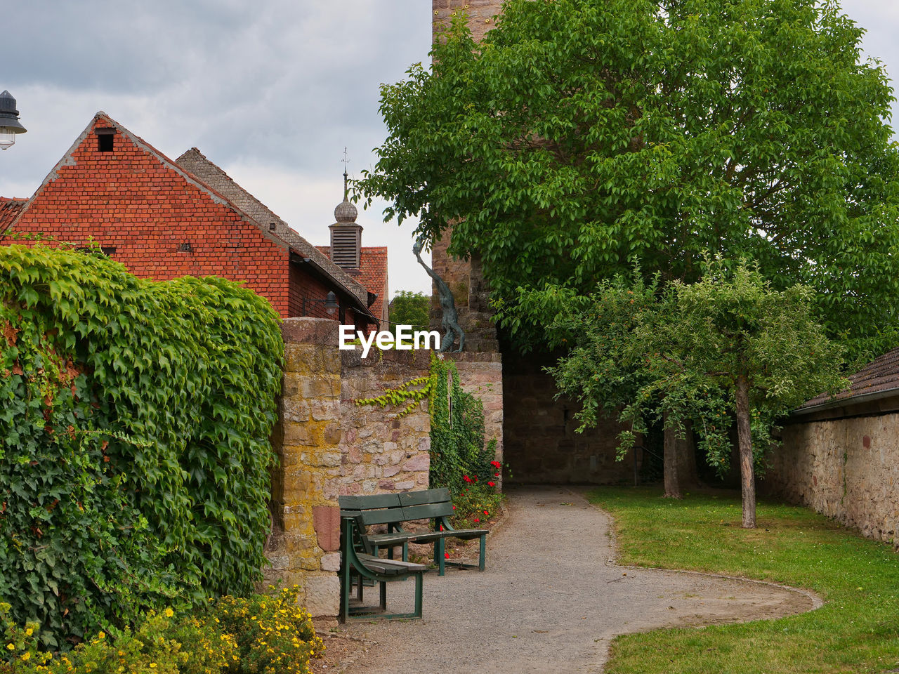 TREES AND PLANTS OUTSIDE HOUSE