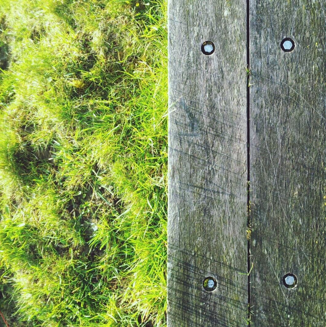 Close-up of wooden surface and grass