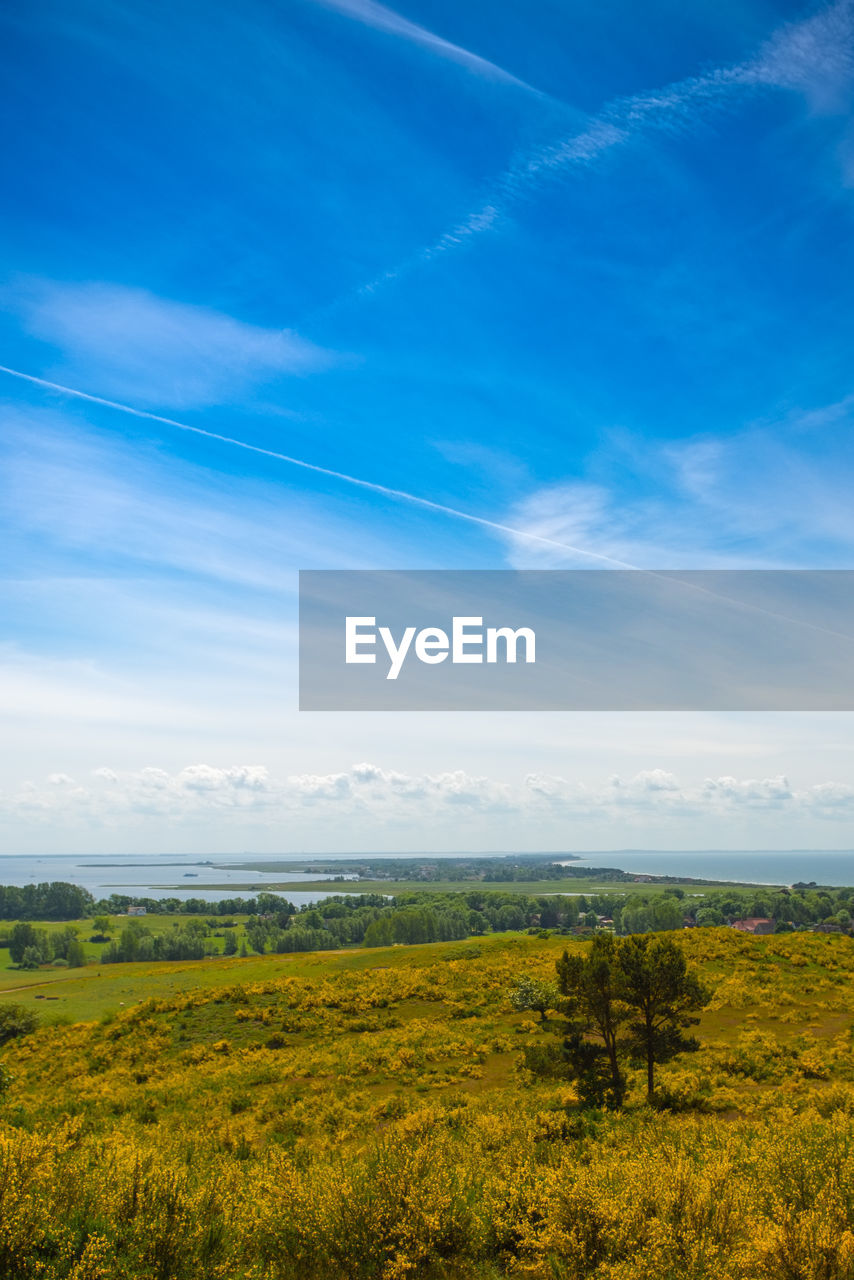 Scenic view of field against blue sky