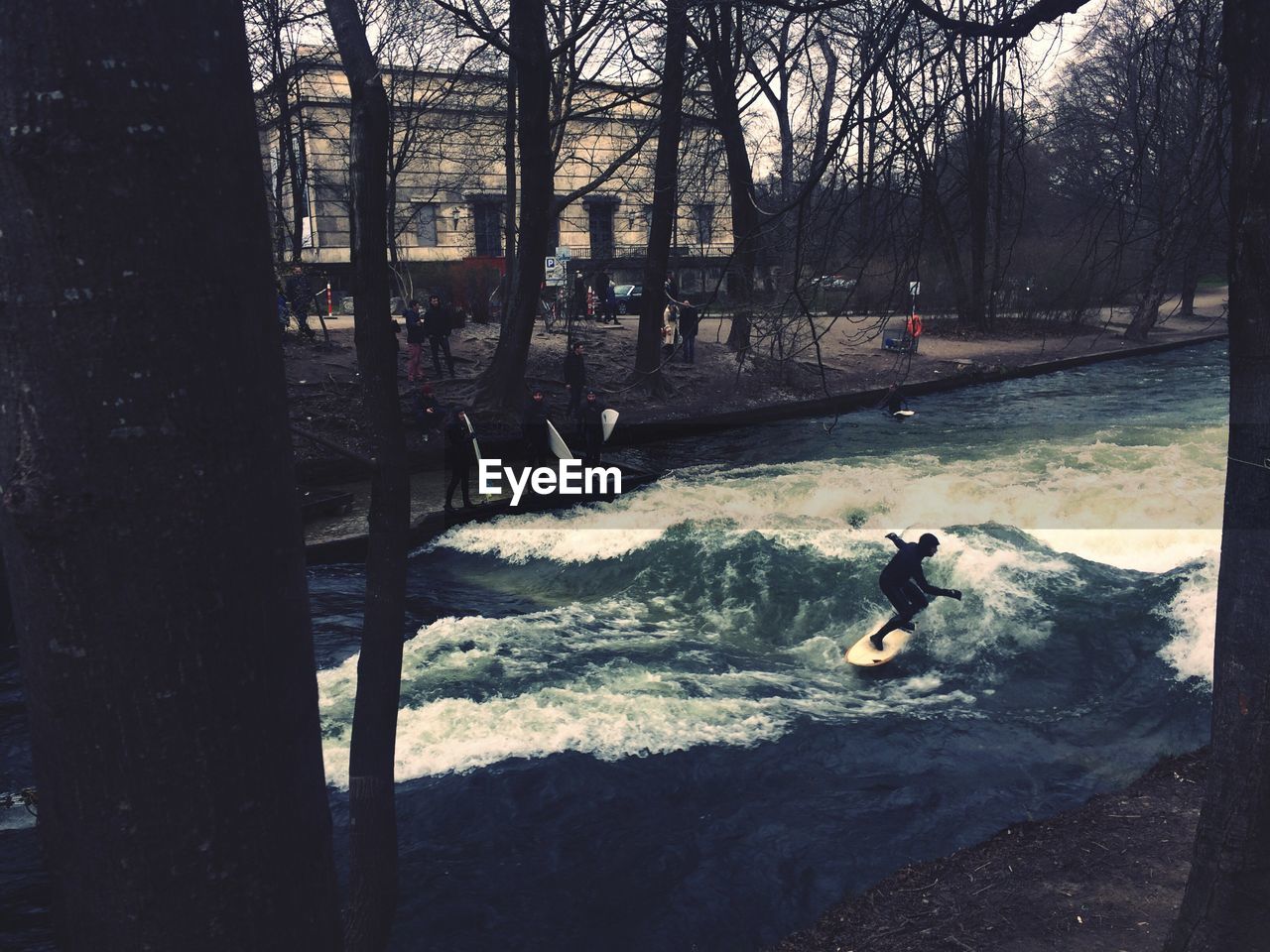 VIEW OF TREES IN WATER