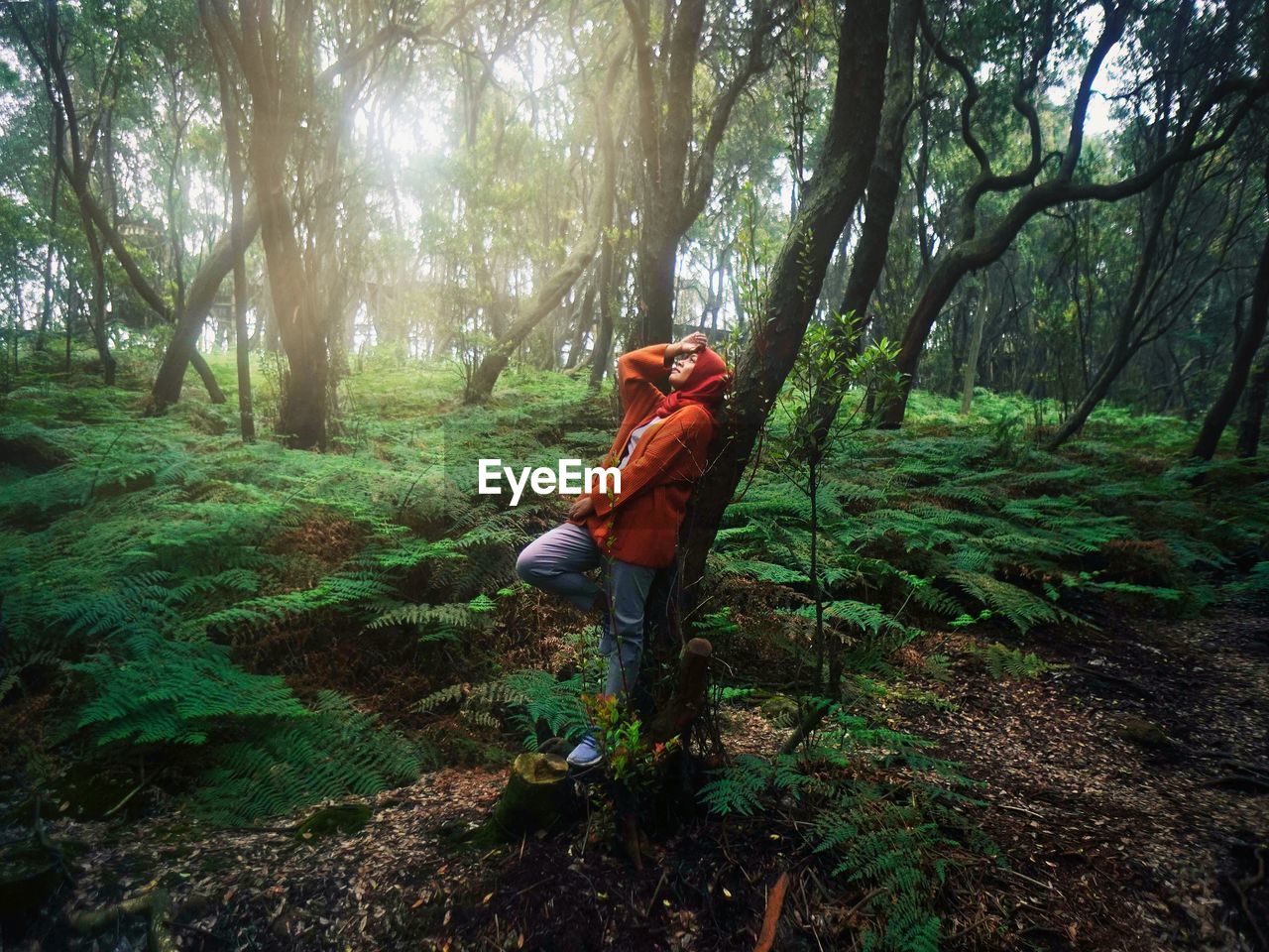 Rear view of woman standing in forest