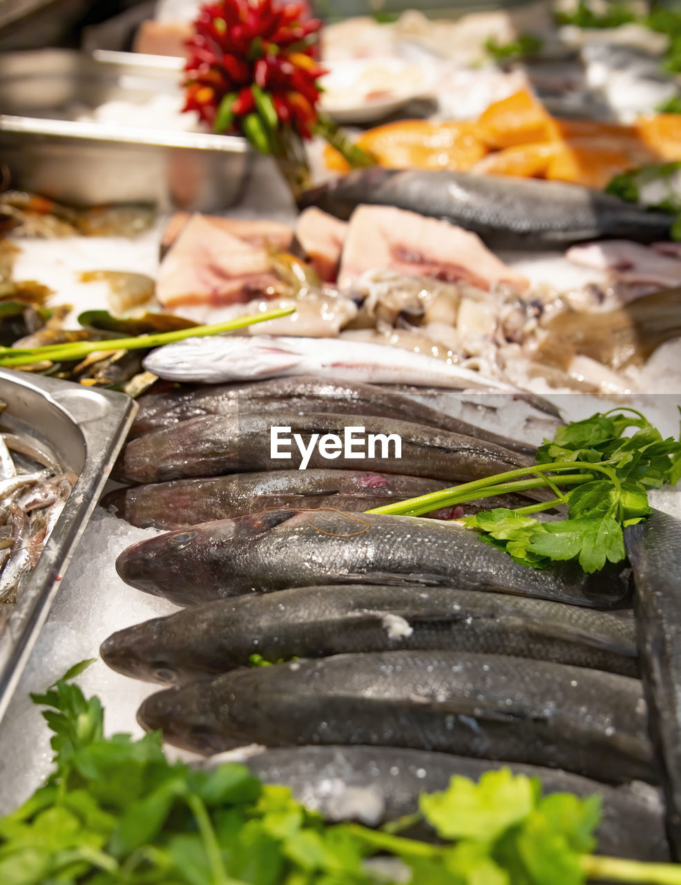 High angle view of fish for sale