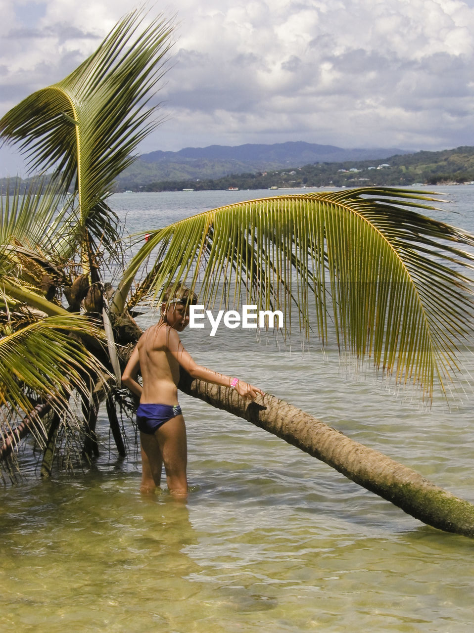 Rear view of boy standing by fallen tree at shore