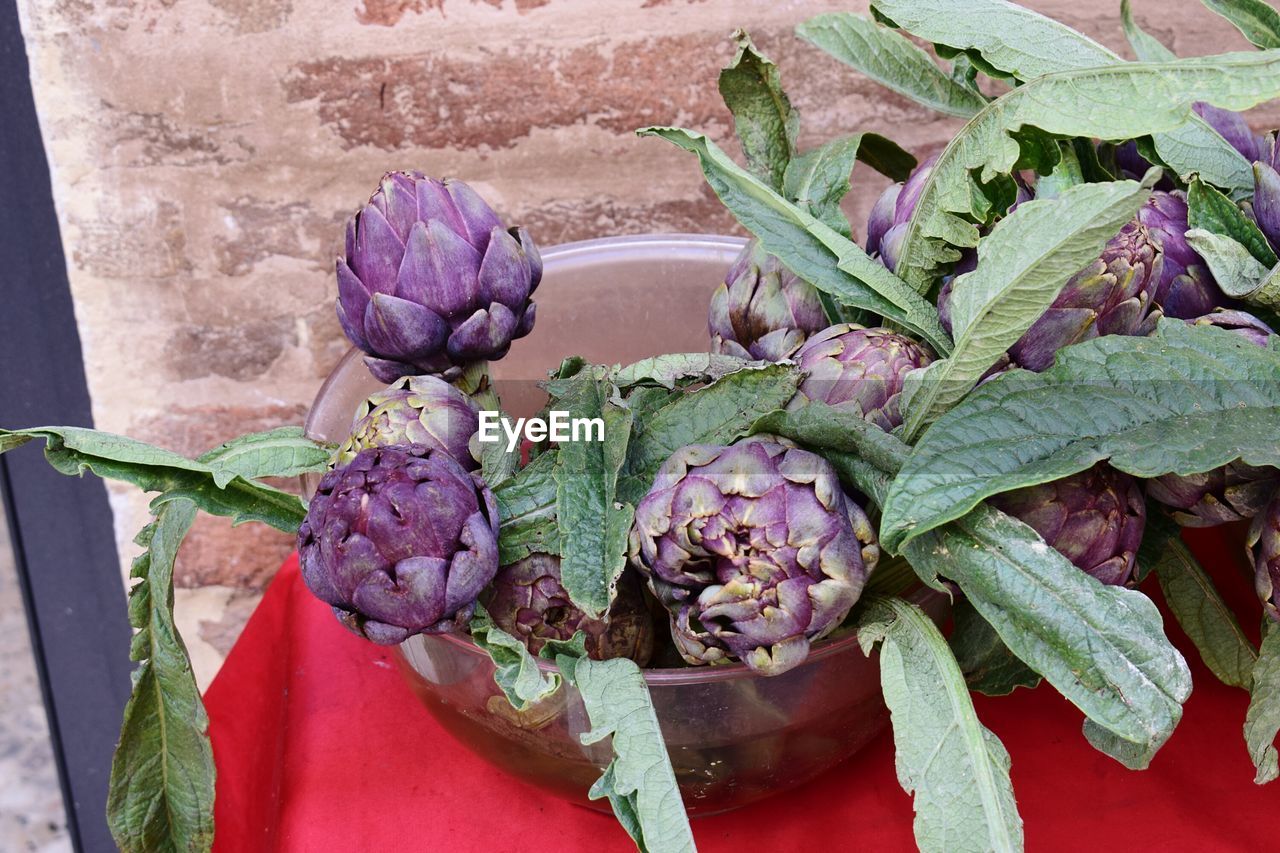 High angle view of purple flowers in container