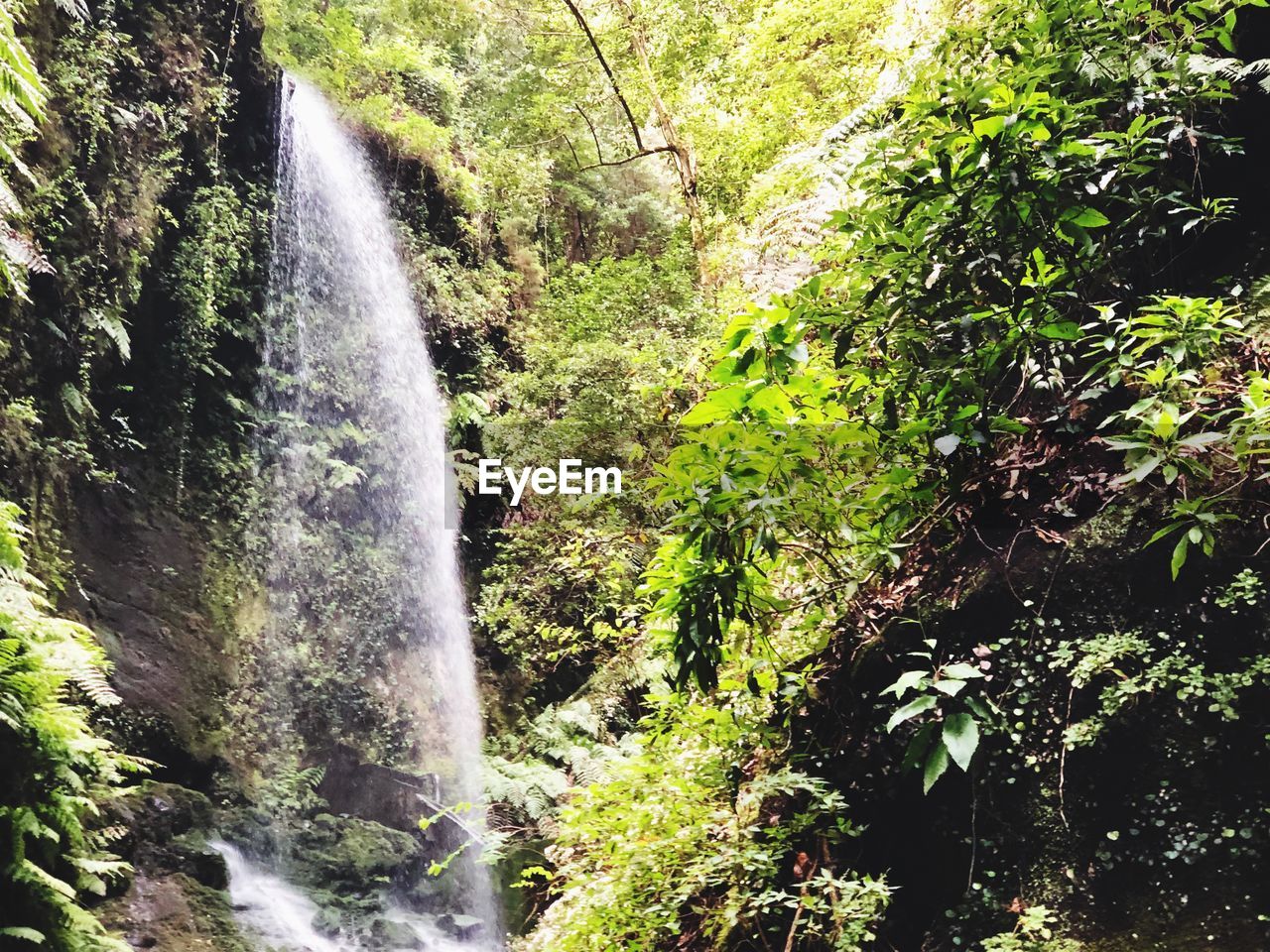 SCENIC VIEW OF WATERFALL