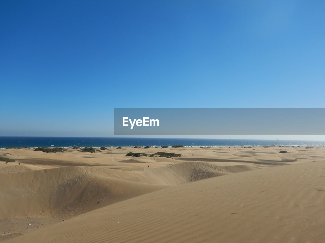 SCENIC VIEW OF BEACH AGAINST BLUE SKY