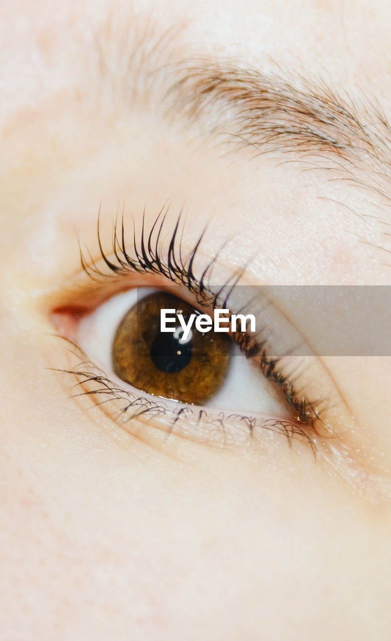 Open eye of a girl with eyelashes after lifting.