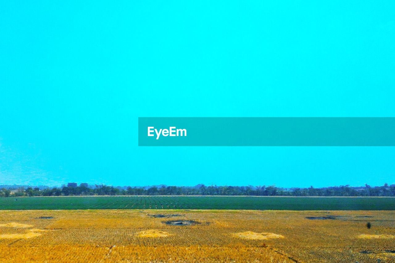 Scenic view of field against clear blue sky