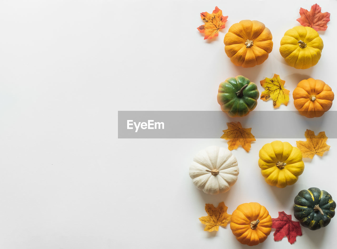 High angle view of pumpkins and leaves on white background