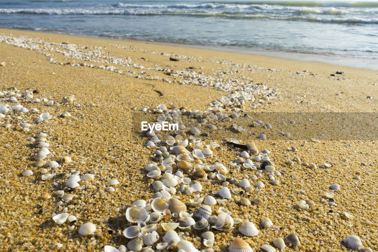 Close-up of pebbles on beach