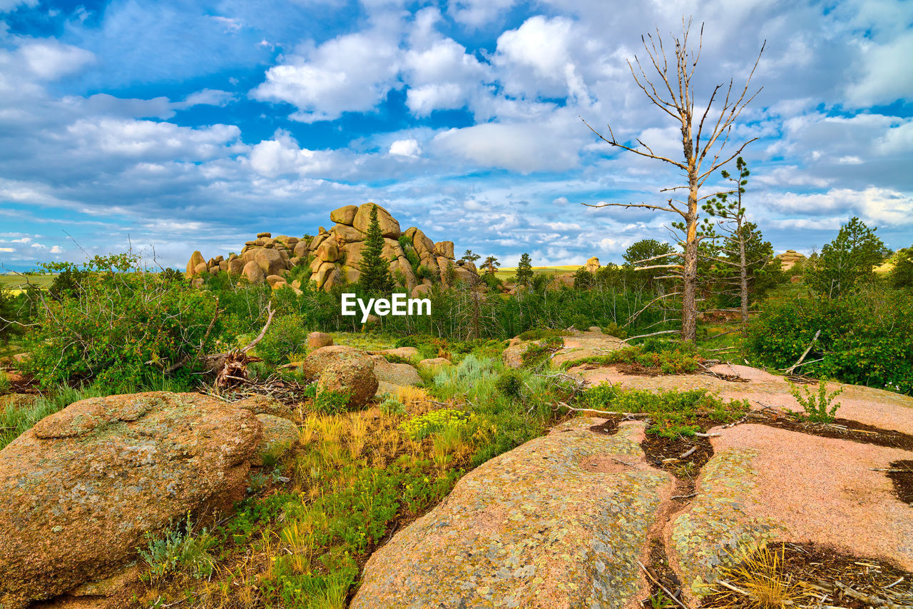 Rock formations at vedauwoo recreation area, wy.