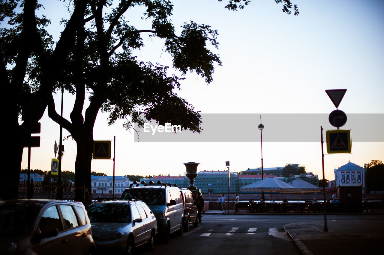 CARS ON TREE AGAINST SKY