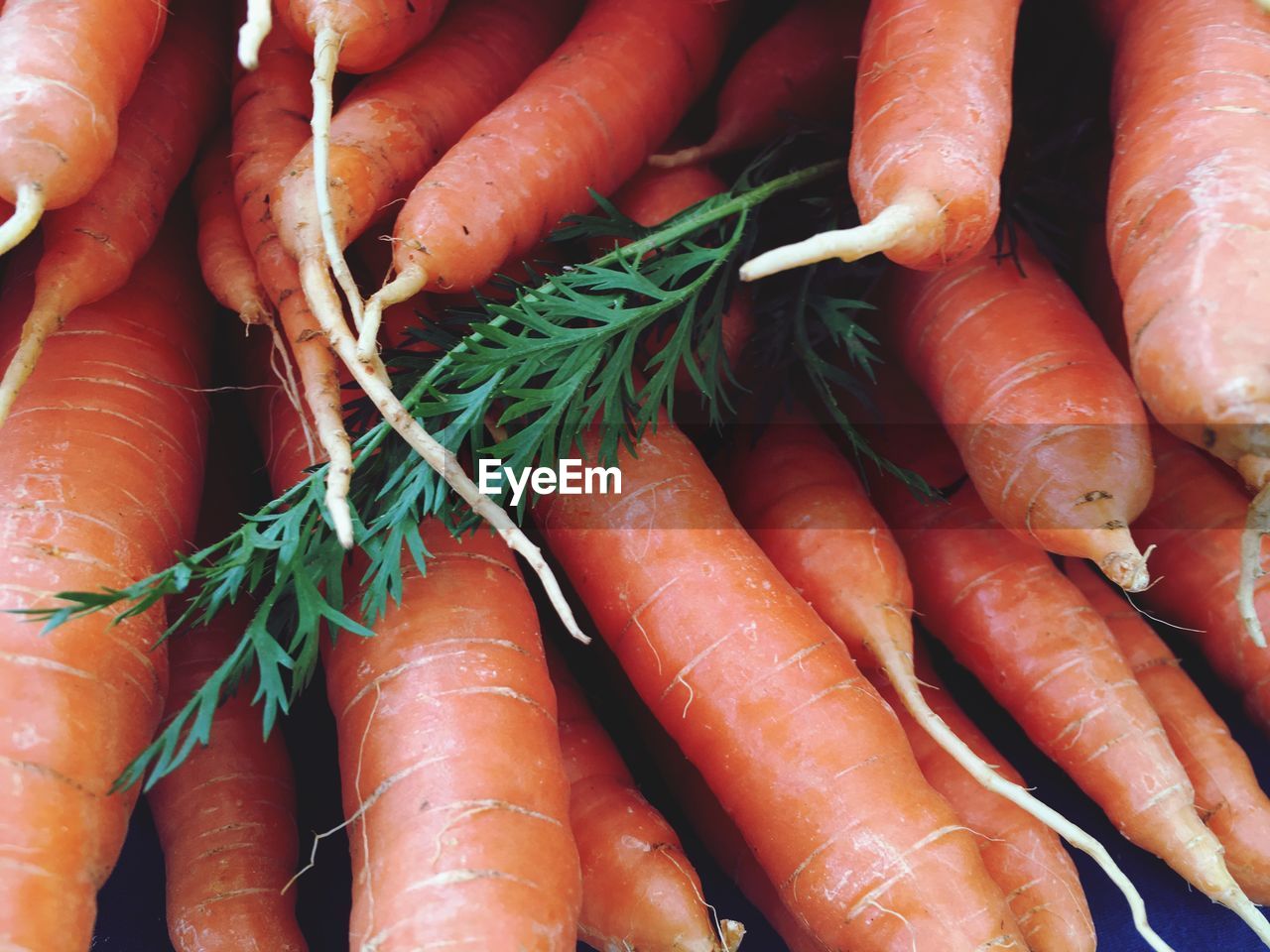 High angle view of carrots for sale at market stall