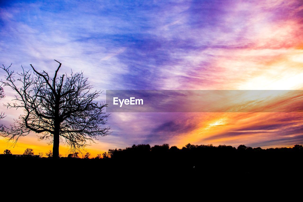 SILHOUETTE OF BARE TREES ON LANDSCAPE AGAINST SKY