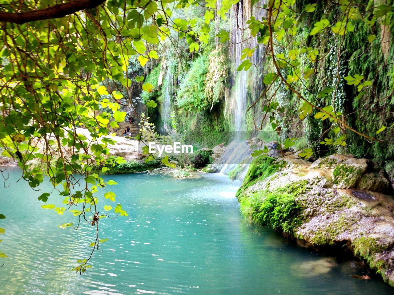 WATERFALL IN FOREST
