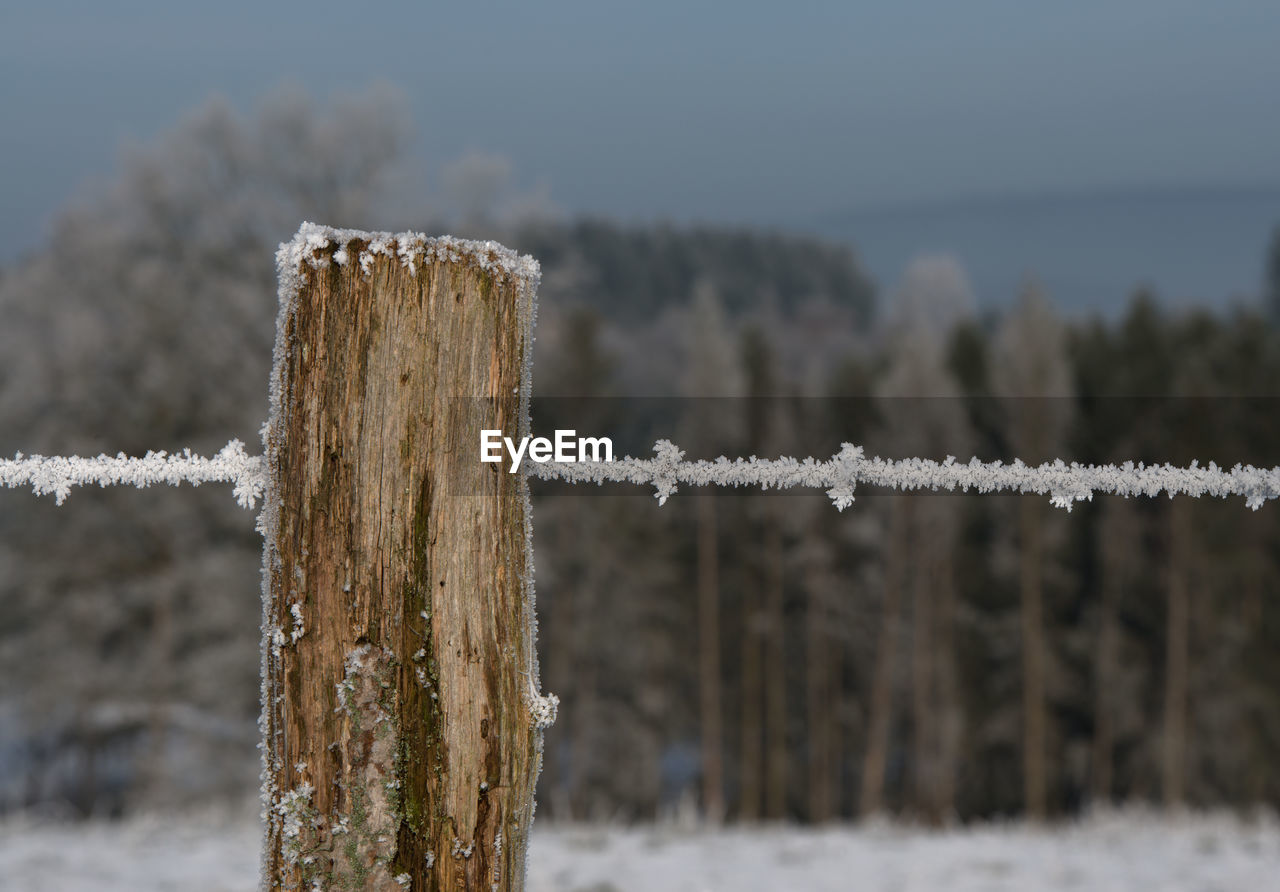 CLOSE-UP OF WOODEN POST