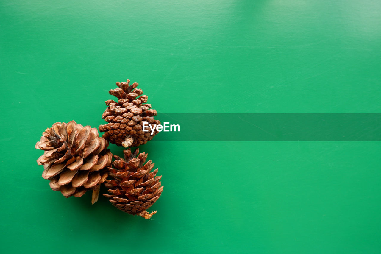 CLOSE-UP OF PINE CONE ON TABLE