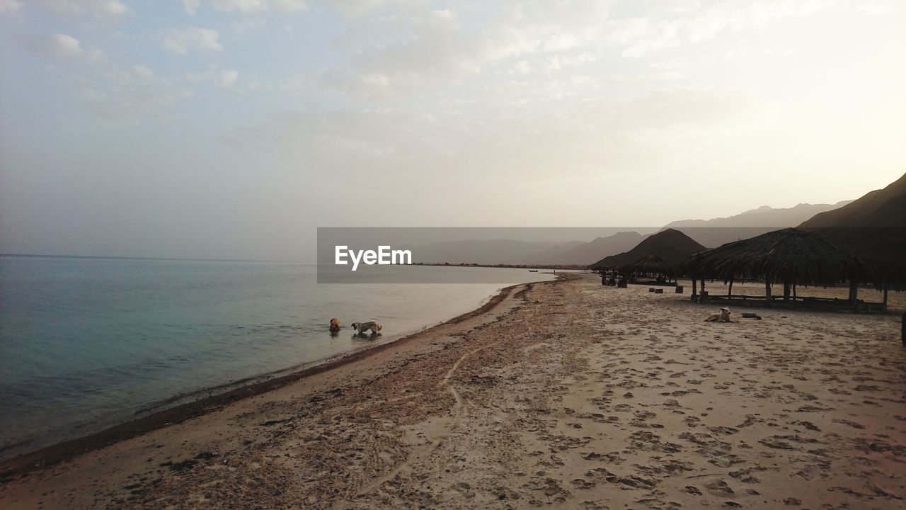 Scenic view of beach against sky