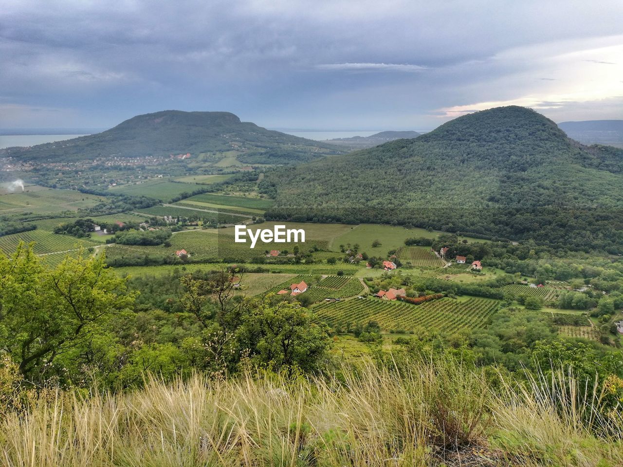 SCENIC VIEW OF GREEN LANDSCAPE AGAINST SKY