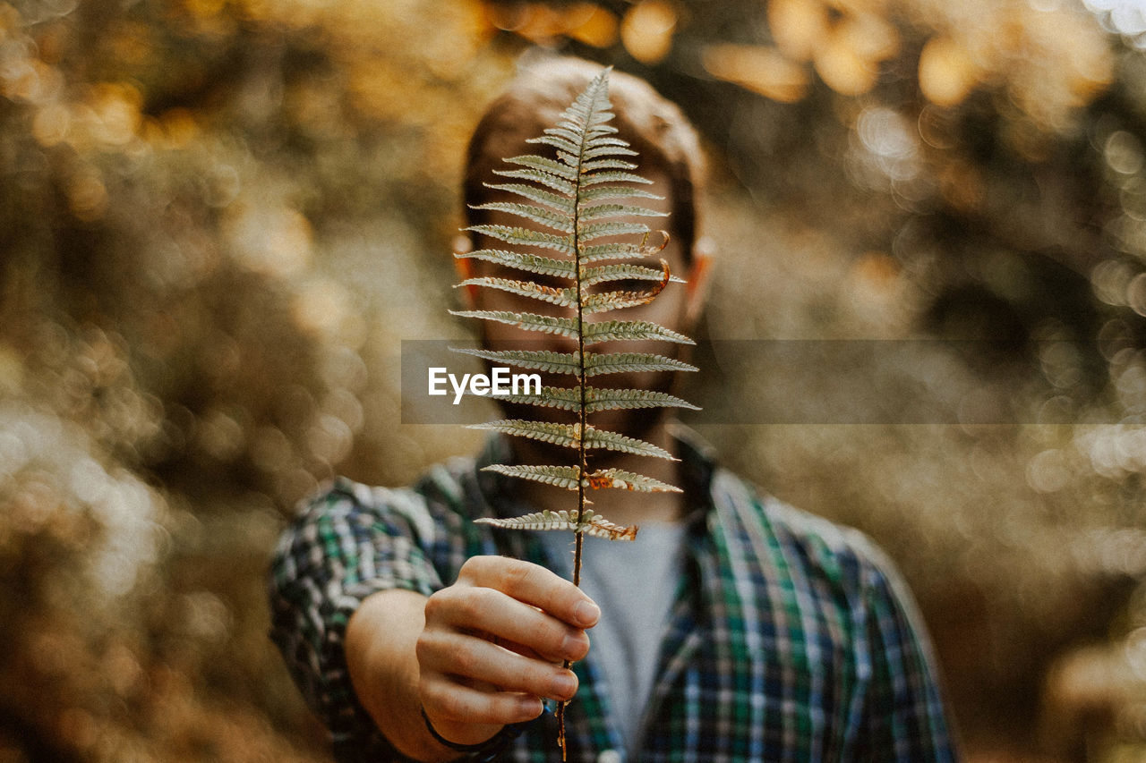 Man holding leaves against tree