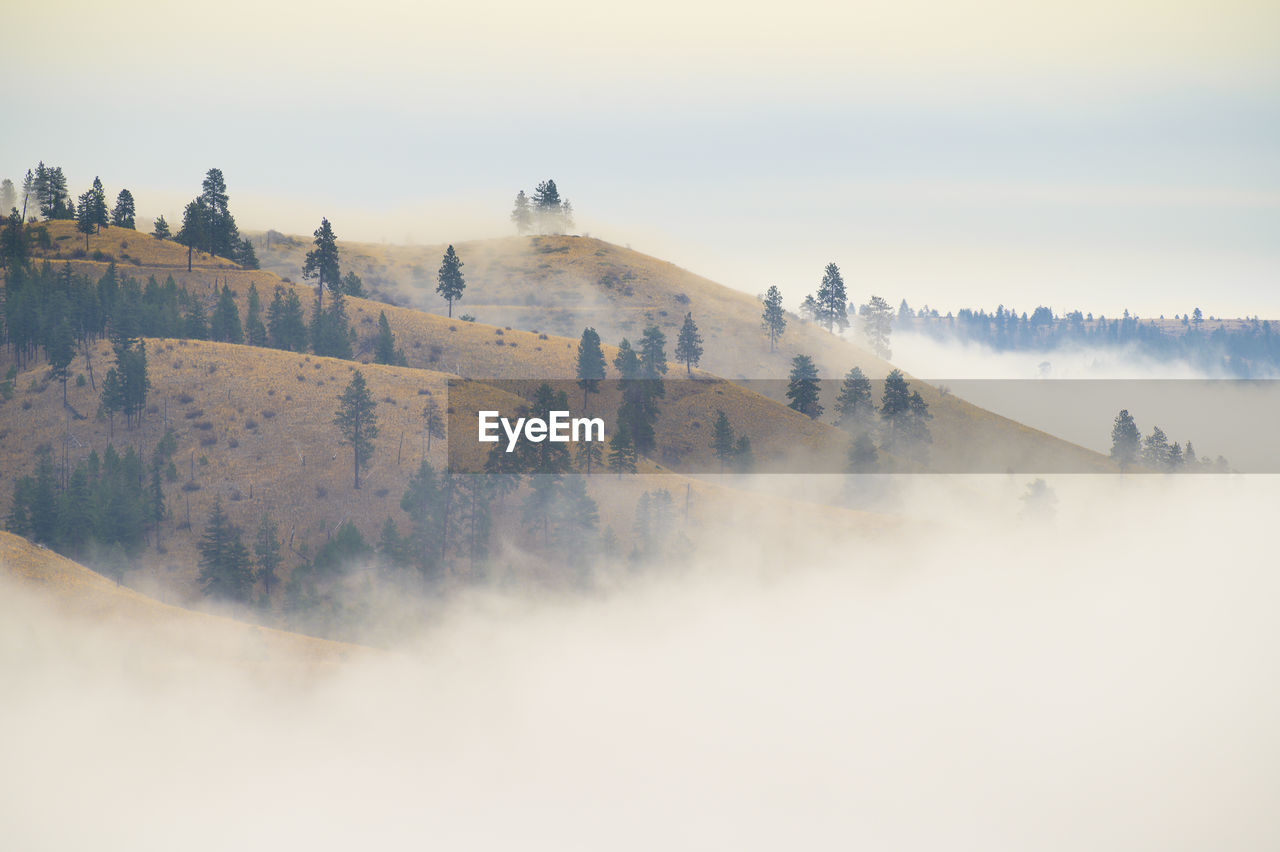 Foggy mountain top with clouds hanging