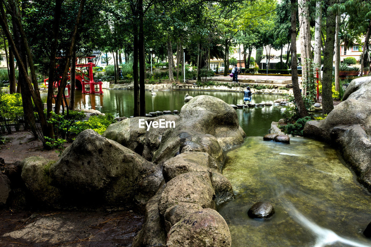 SCENIC VIEW OF RIVER FLOWING THROUGH TREES