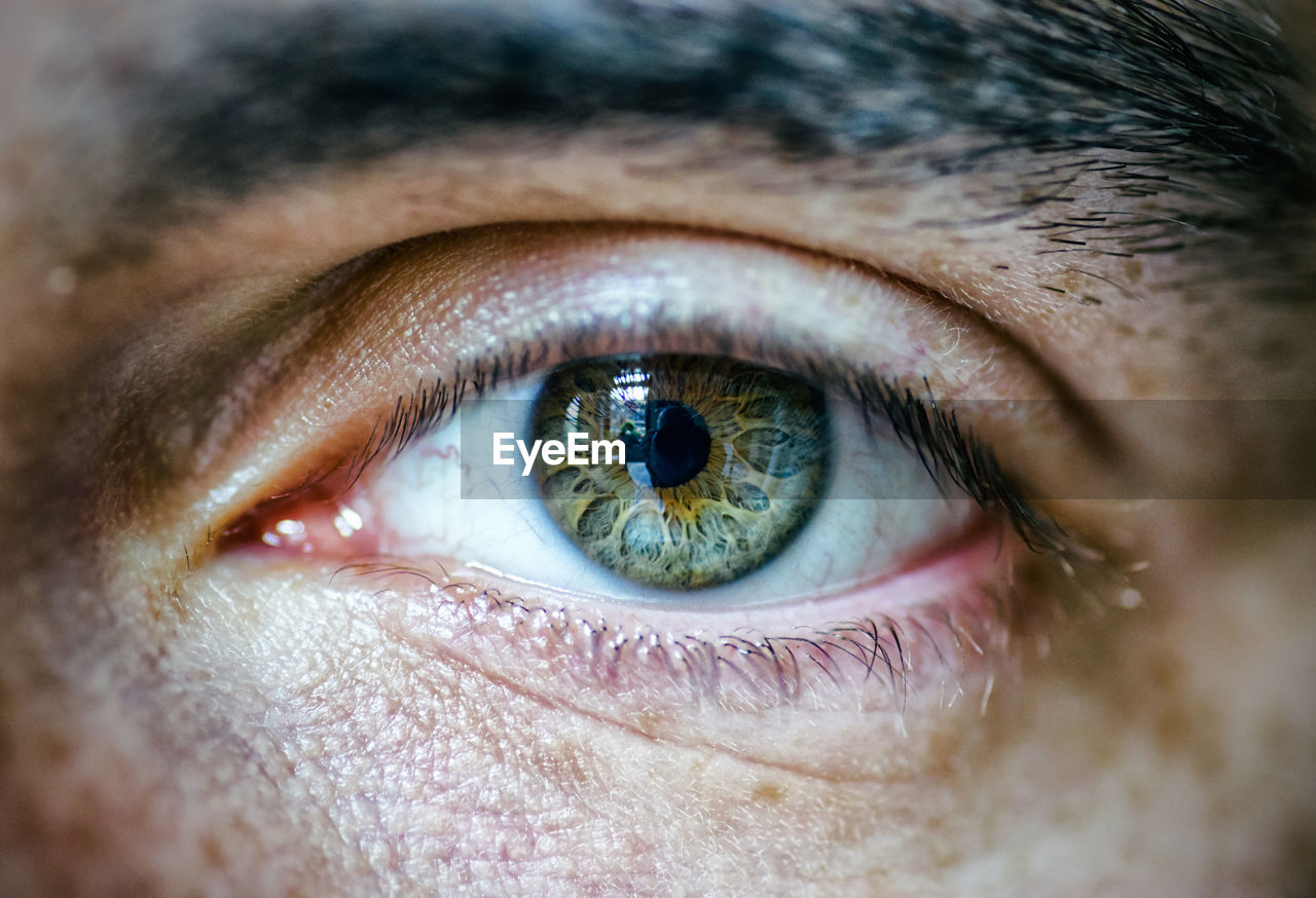 Close-up portrait of man eye